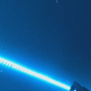 Meet your Posher, Ally